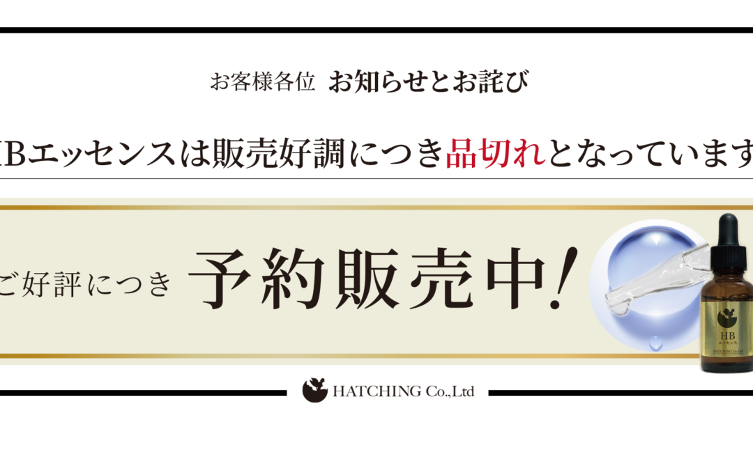 H Bエッセンス予約販売中!